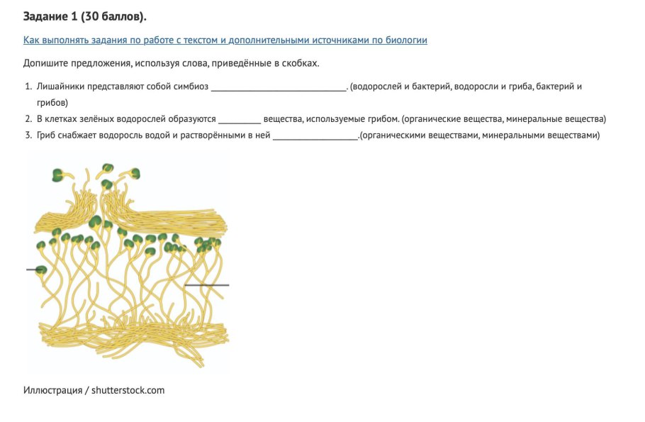 Организмы царства грибов и лишайников