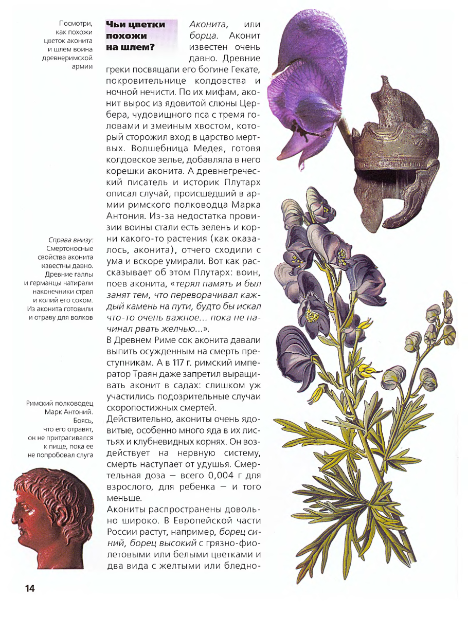 Борщевик в ХМАО