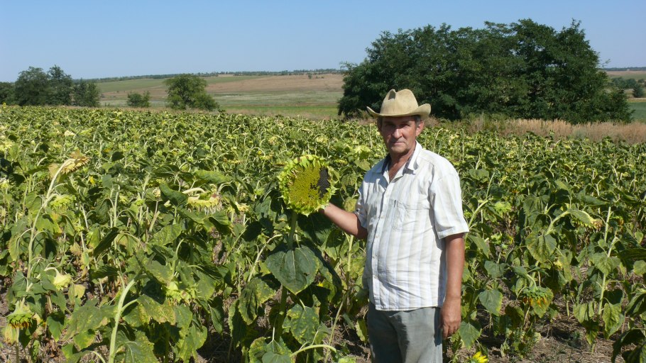Аграрный сектор Курской области
