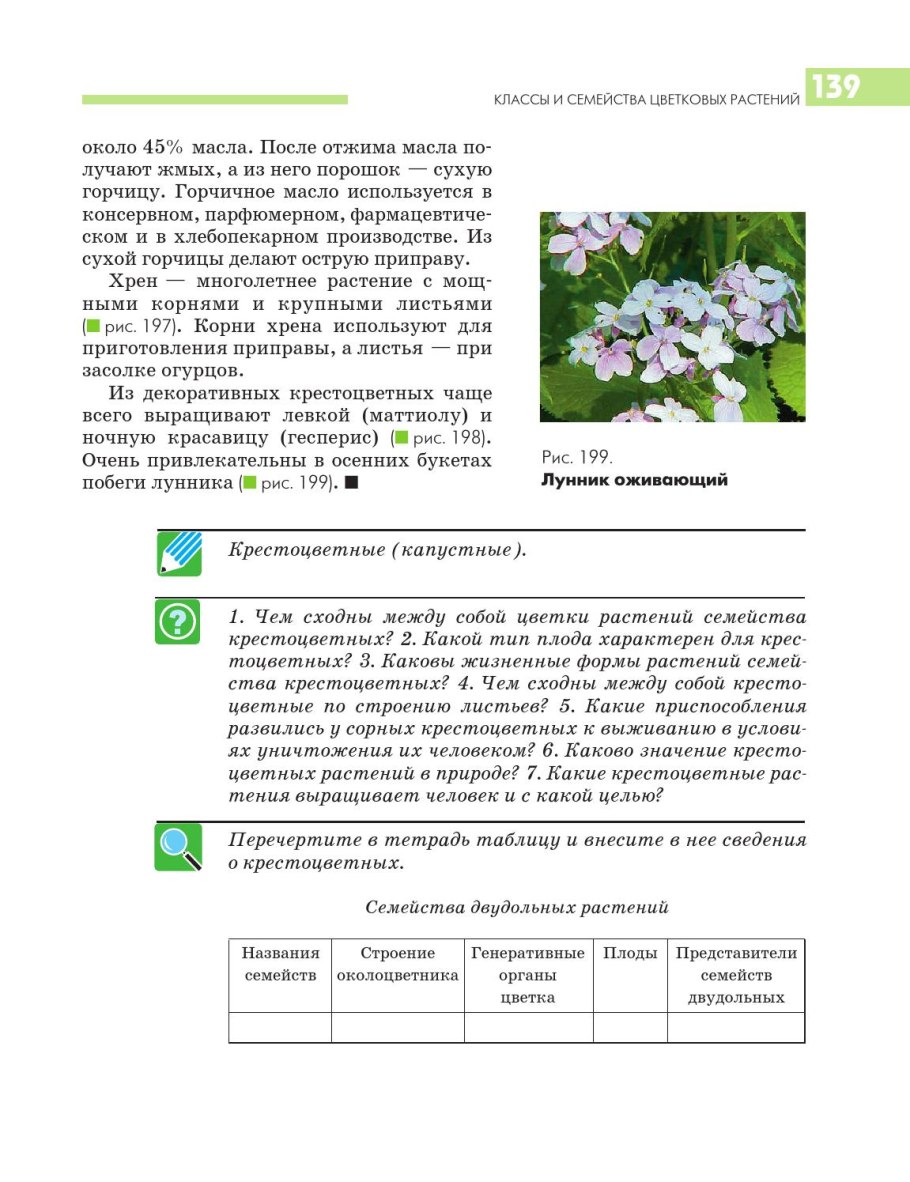 Крестоцветные капустные плод