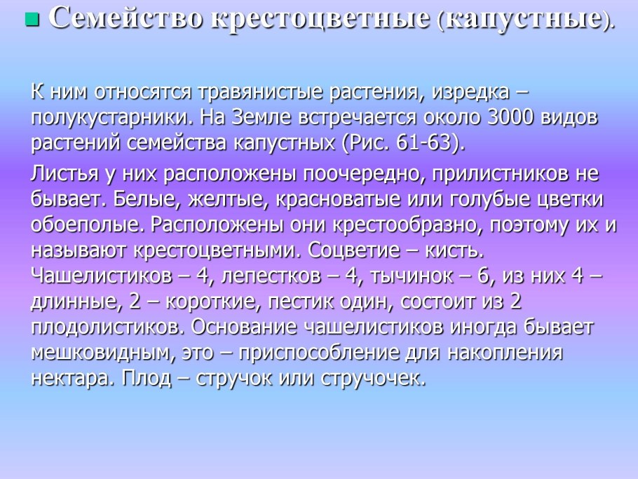 Семейство Розоцветные строение цветка