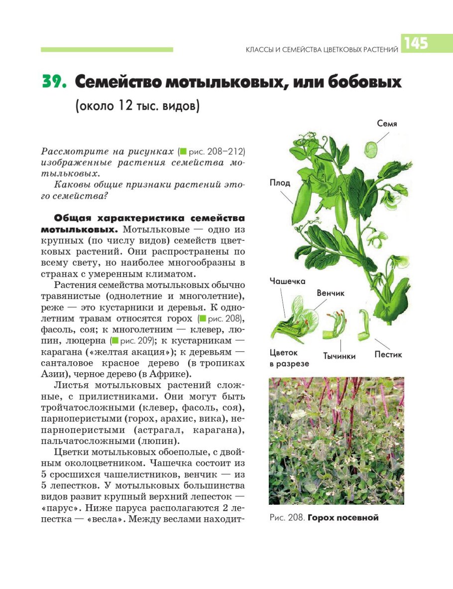 Икотник серый род