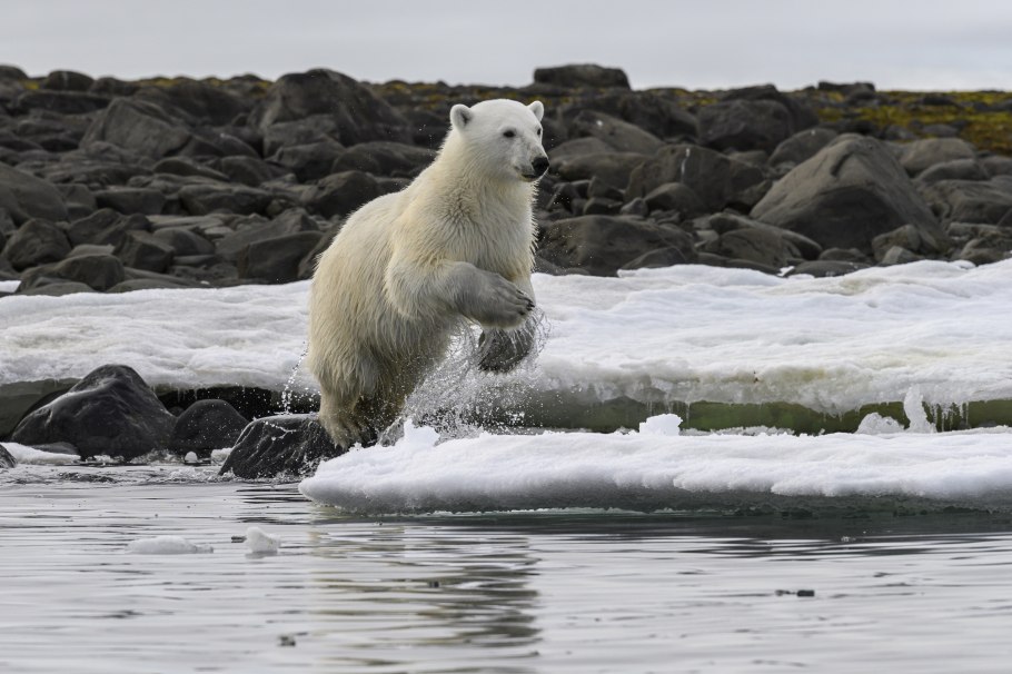 Остров земля Франца Иосифа