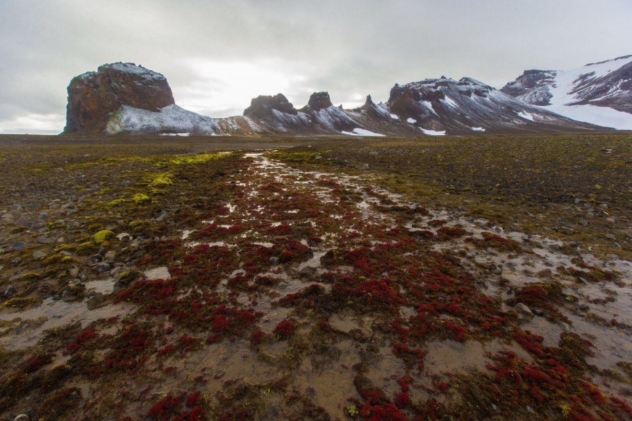 Экспедиция Франца Иосифа