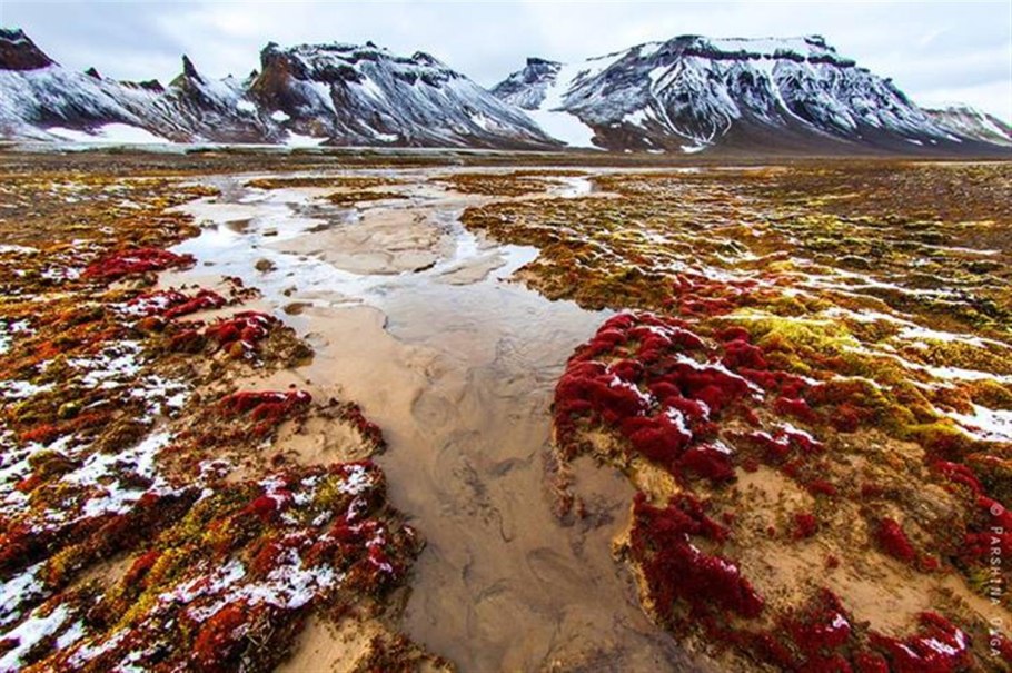 Архипелаг земля Франца-Иосифа