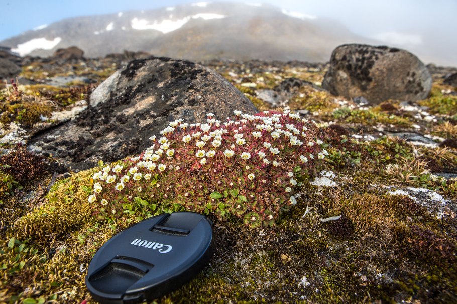 Земля Александры архипелага земля Франца-Иосифа