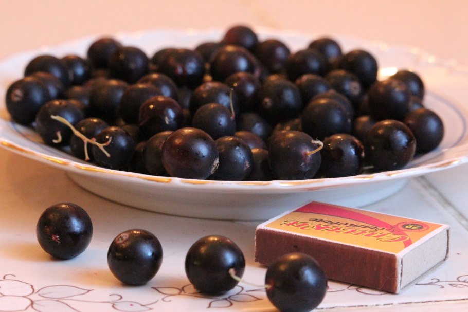 Смородина диковинка