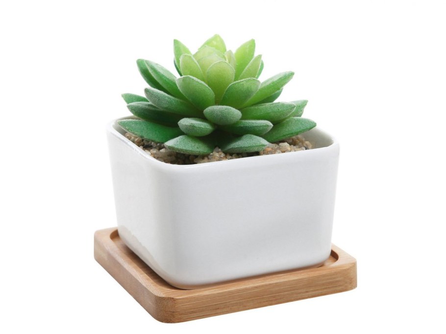 Горшок эхеверия 004080