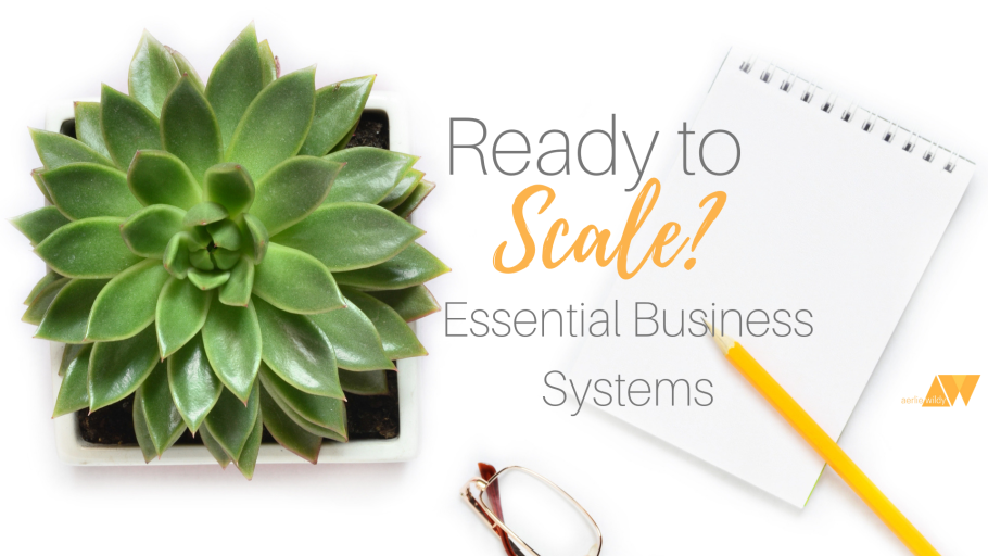 Цветок в горшке вид сверху