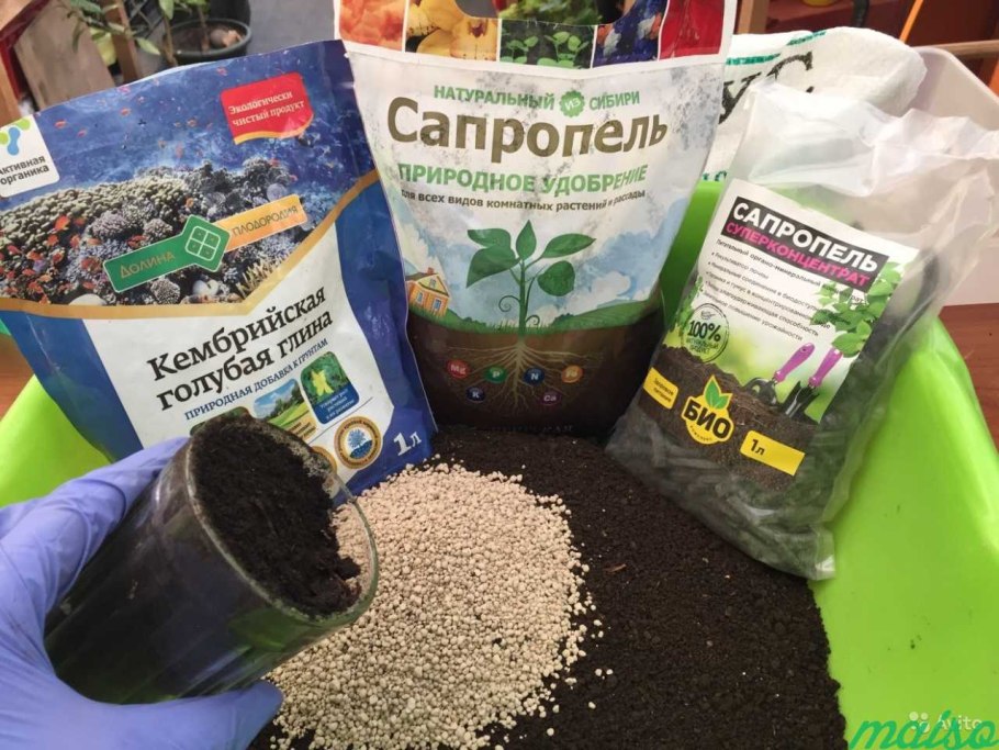 Флорариум зеленый Оазис