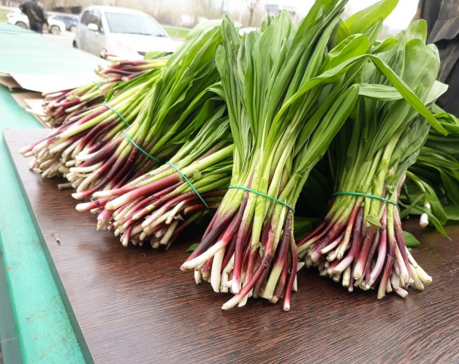 Дикий Луговой лук