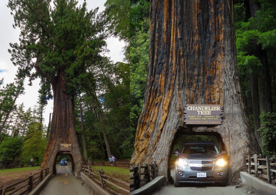 Национальный парк Секвойя Калифорния