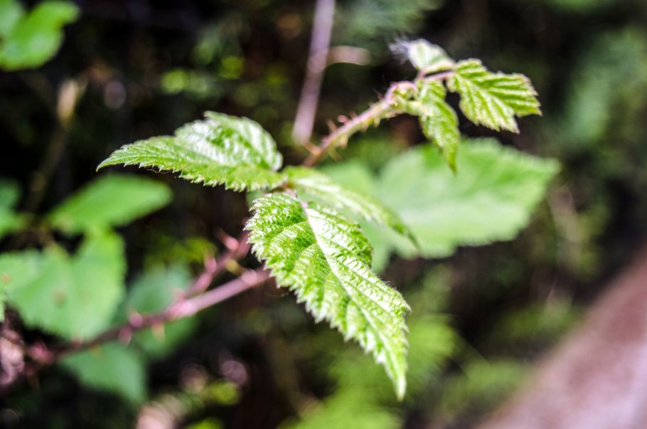 Если покалывание в ногах