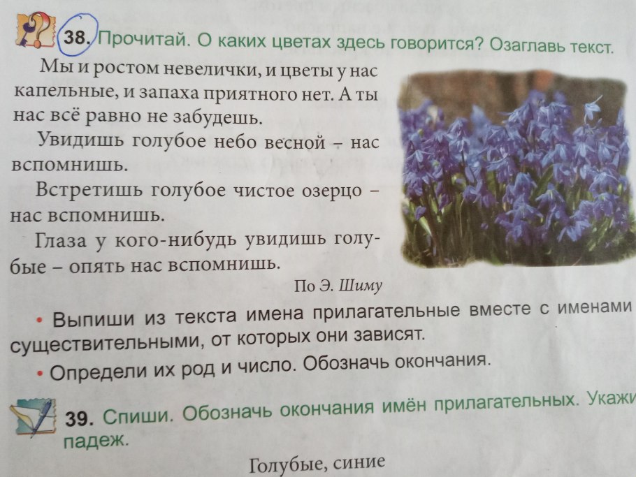 Части речи в русском языке