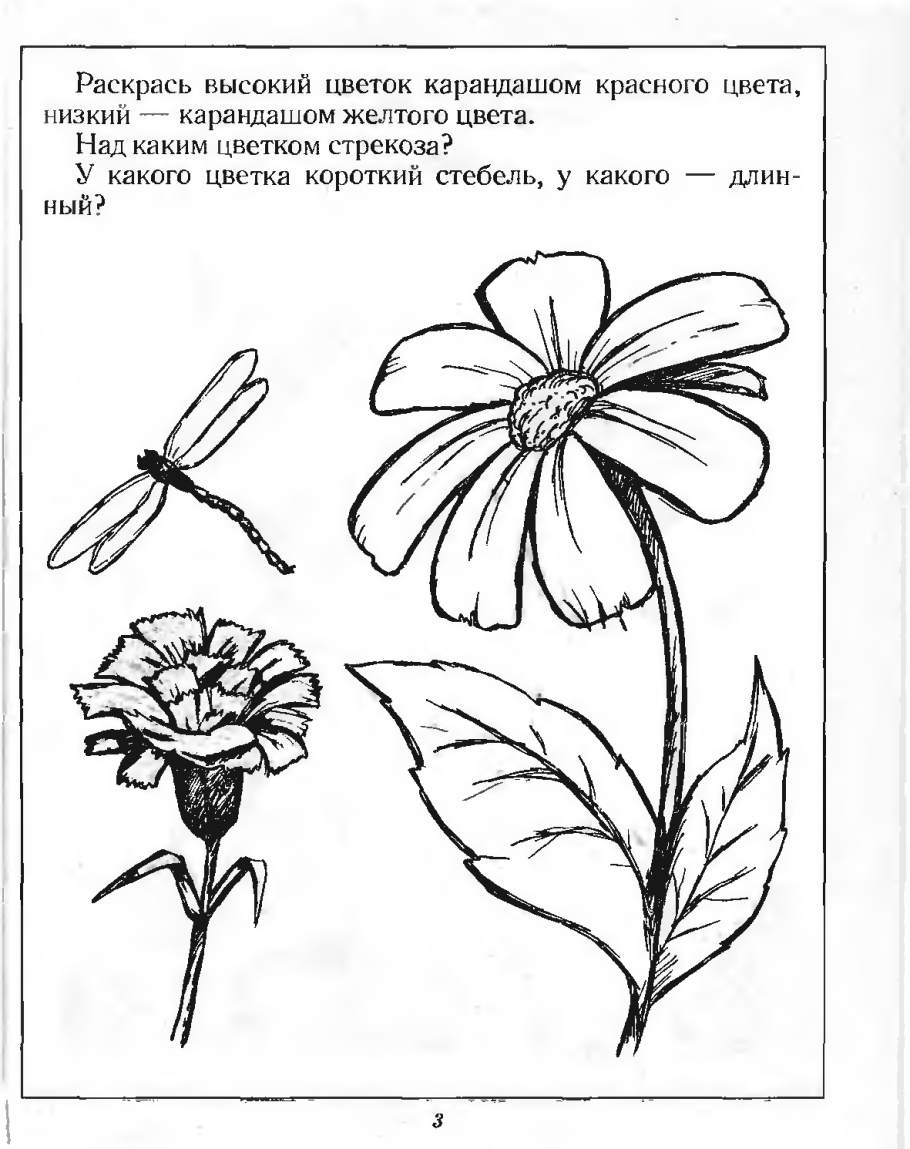 Морфологический разбор ППР
