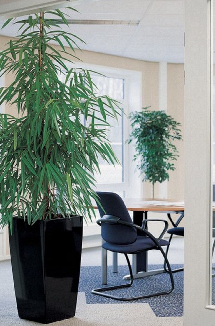 Lechuza Rondo 40, белый