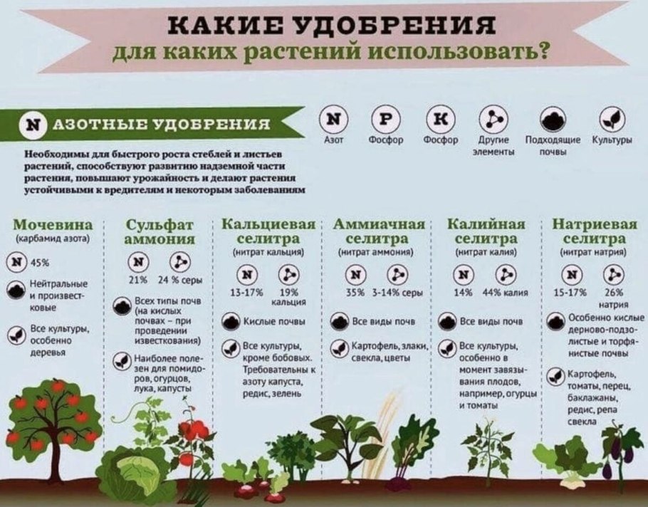 Дачные подсказки советы