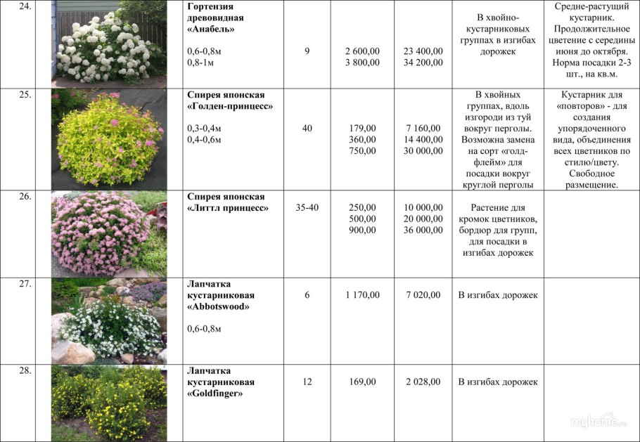 Полив роз