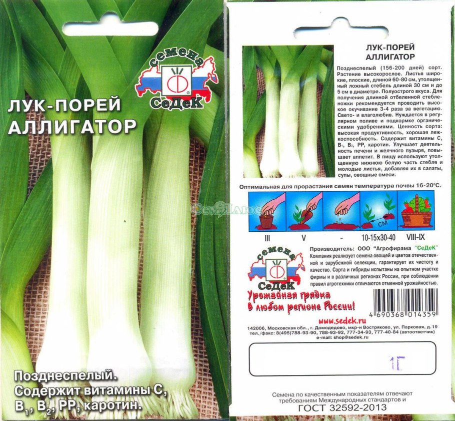 Лук батун Чиполлино