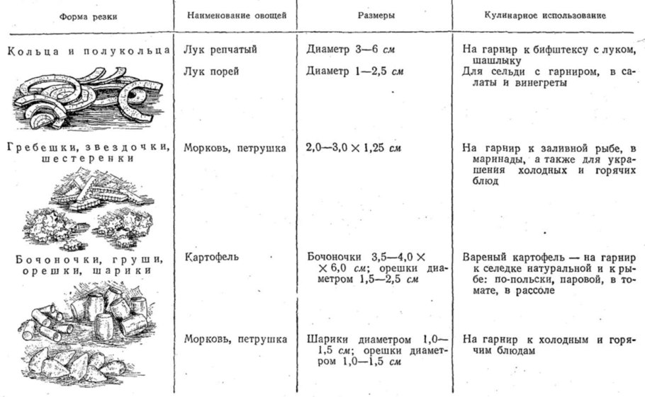 Схема посадки лука севка весной на репку в открытом грунте