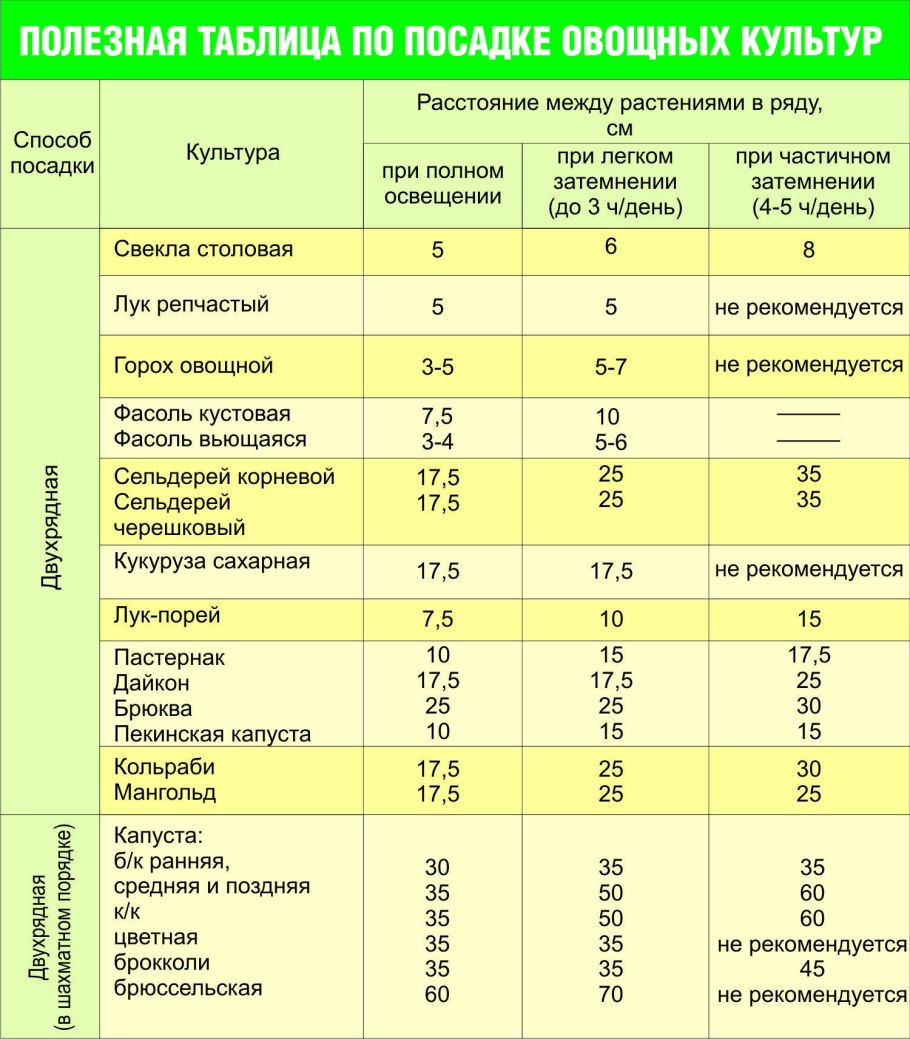Голопопим в пять лет ню
