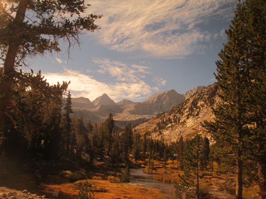 Sequoia kings canyon national parks