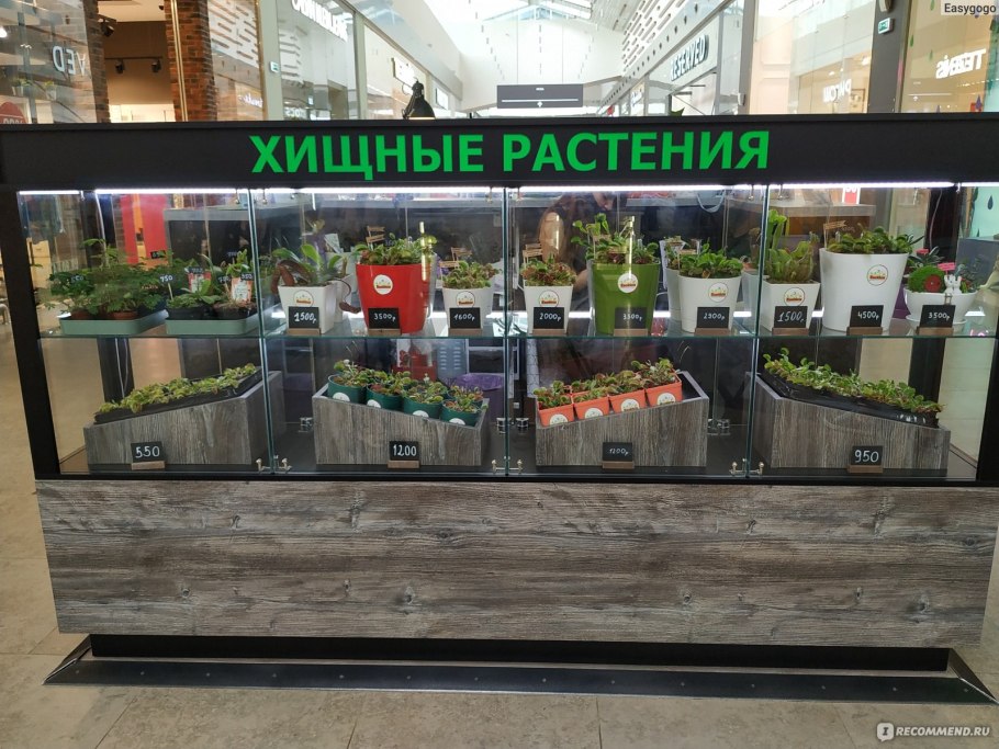 Мега теплый стан Exotica