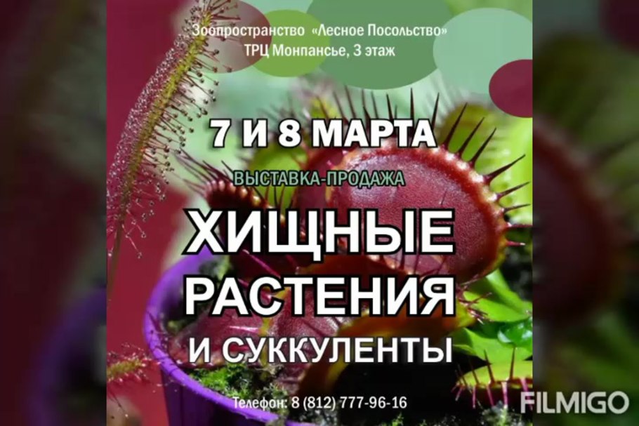 Экзотические растения для сада
