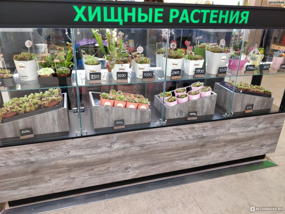 Цветочный магазин в мега теплый стан