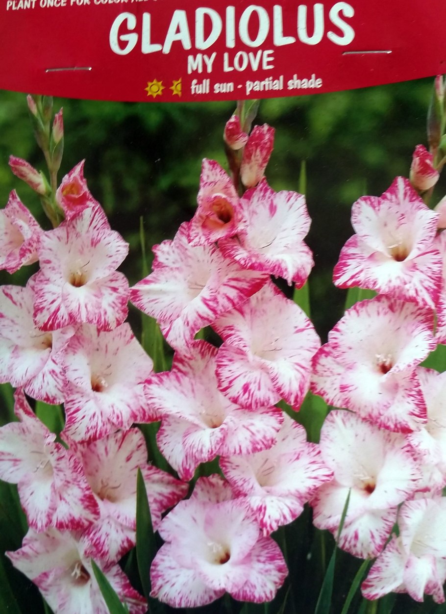 Оконный кондиционер Jax ACW-05e