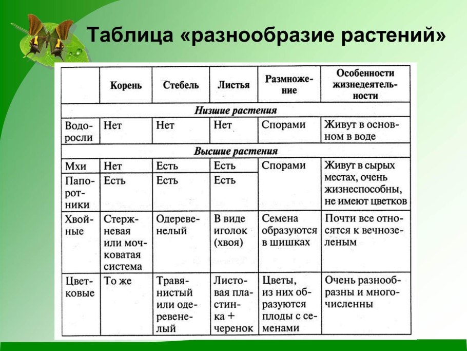 Таблица многообразие растений 5 класс биология