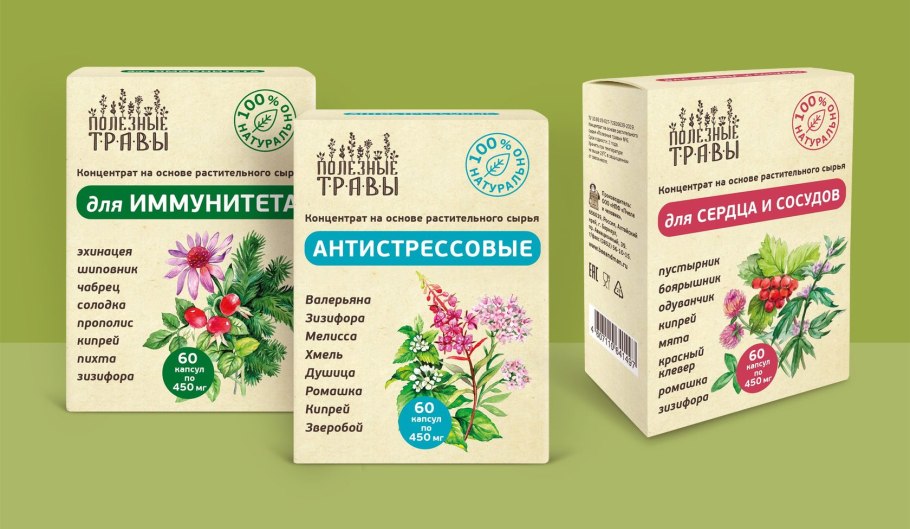 Щитковидная метелка соцветие