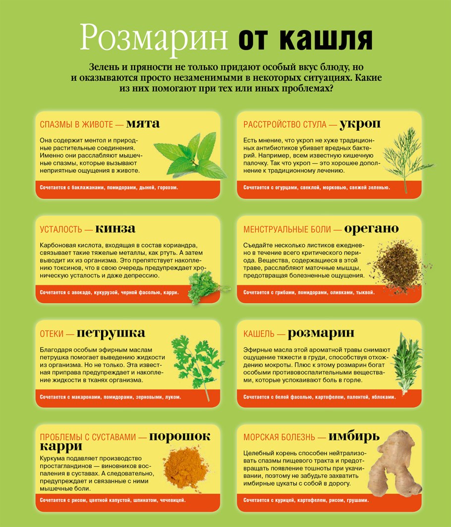 Фрондозное соцветие