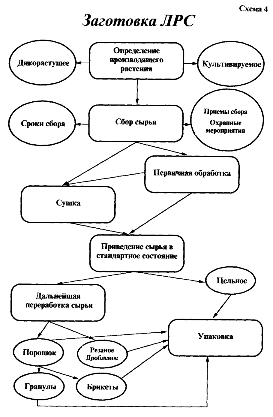 Плакат на тему лекарственные растения