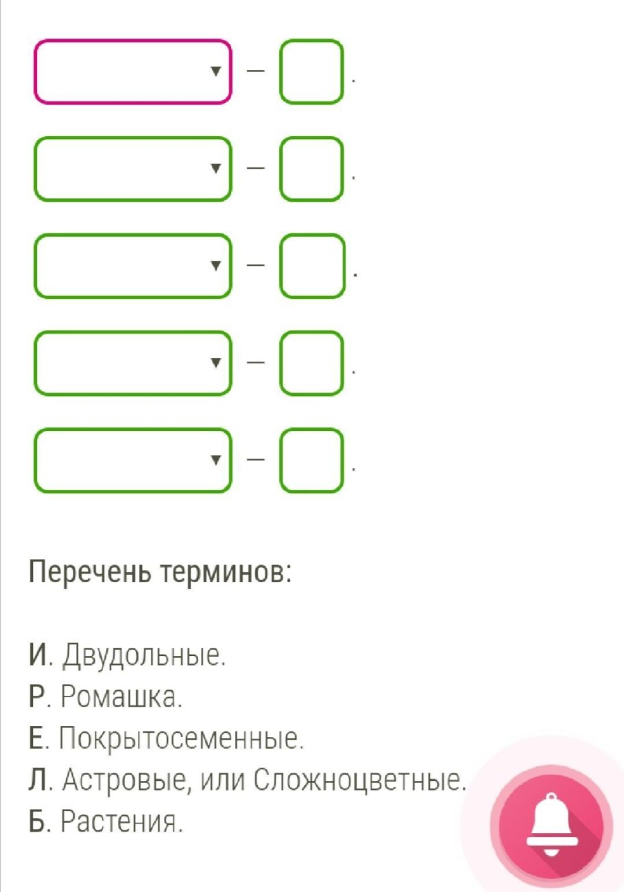 Что такое лист листовая пластинка черешок жилки