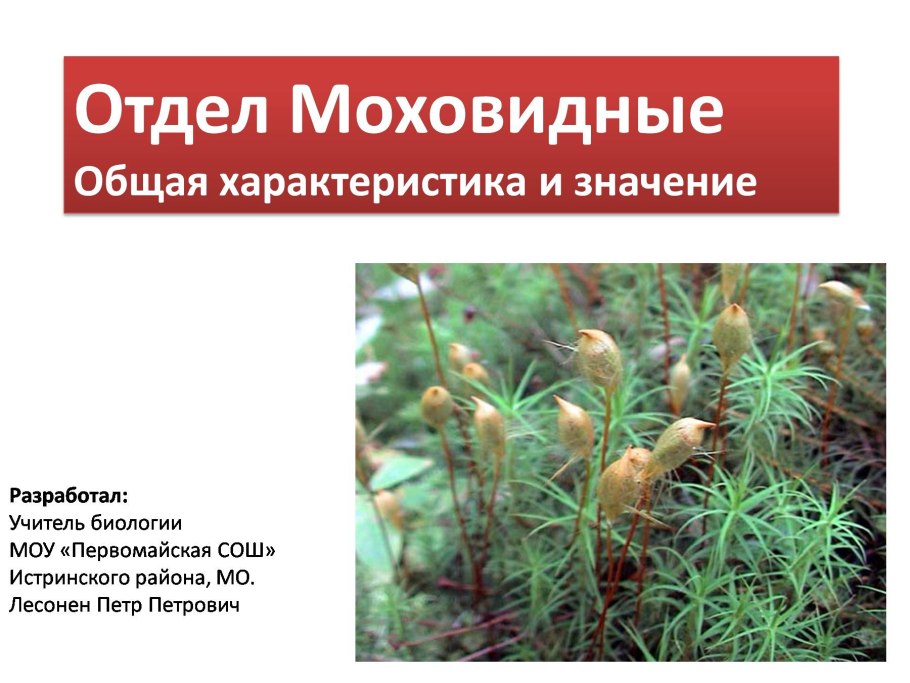 Листостебельные мхи систематика