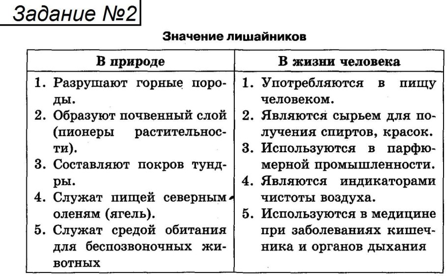 Тесты по биологии бактерии и грибы