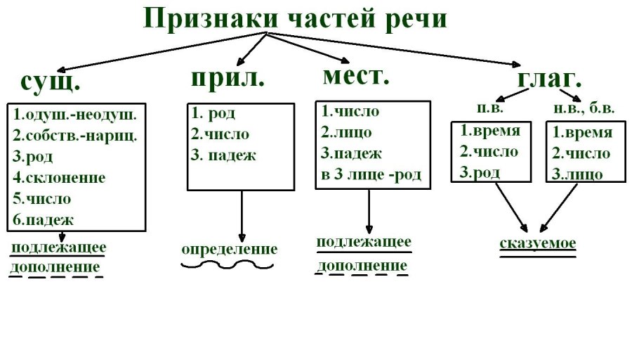 Значение мхов