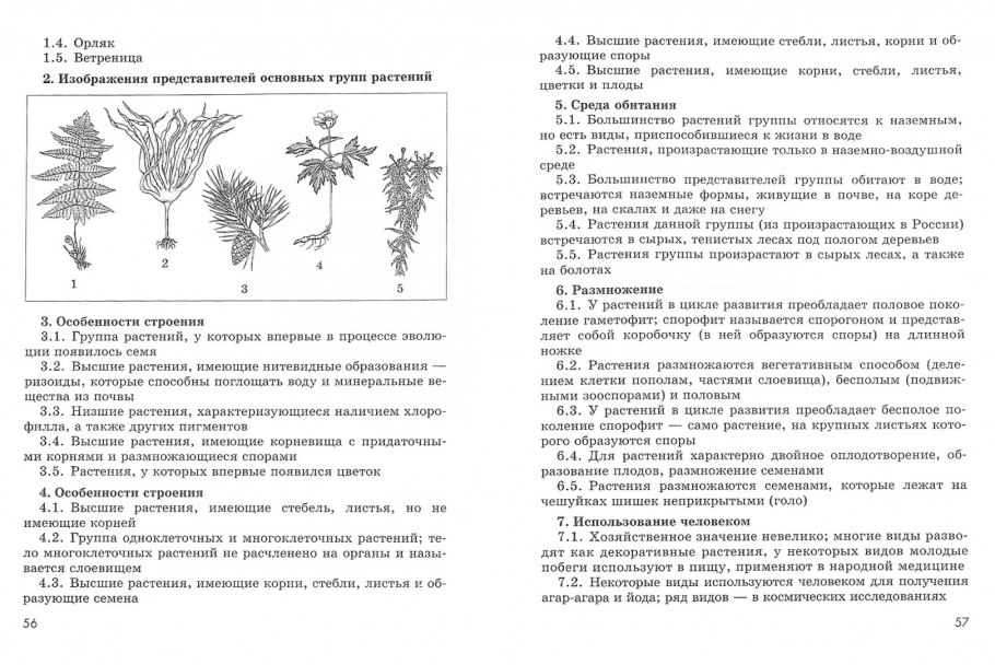Представители моховидных растений