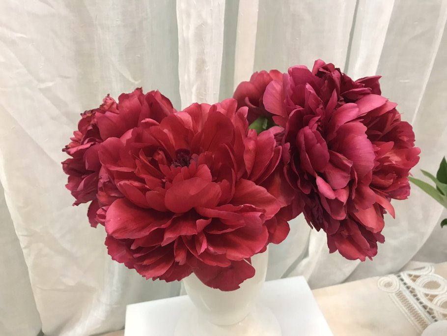 Пион комманд перфоманс