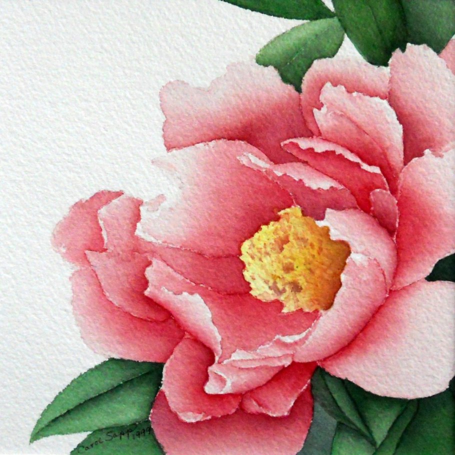 Кэрол пион красные