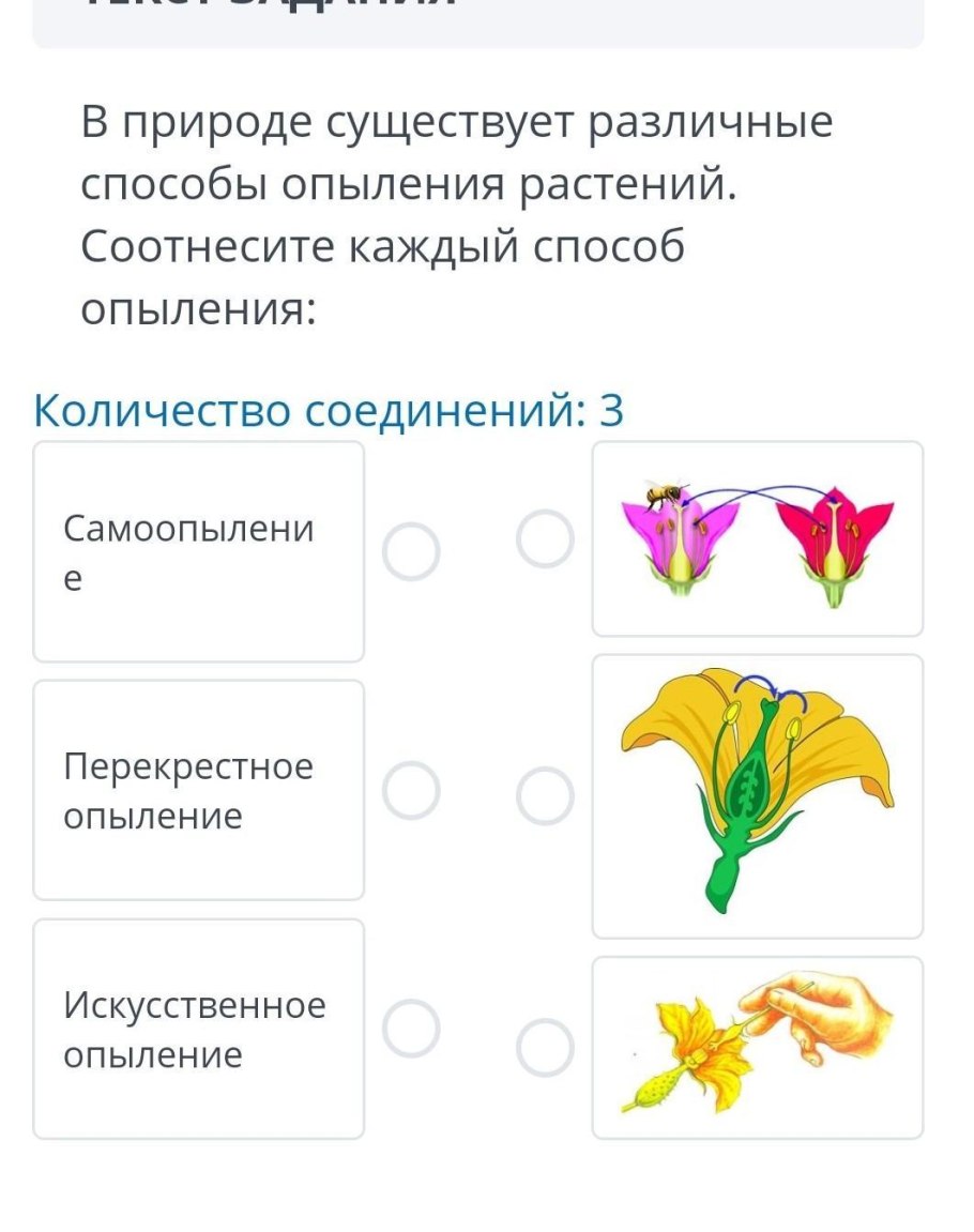 Опыление растений 3 класс