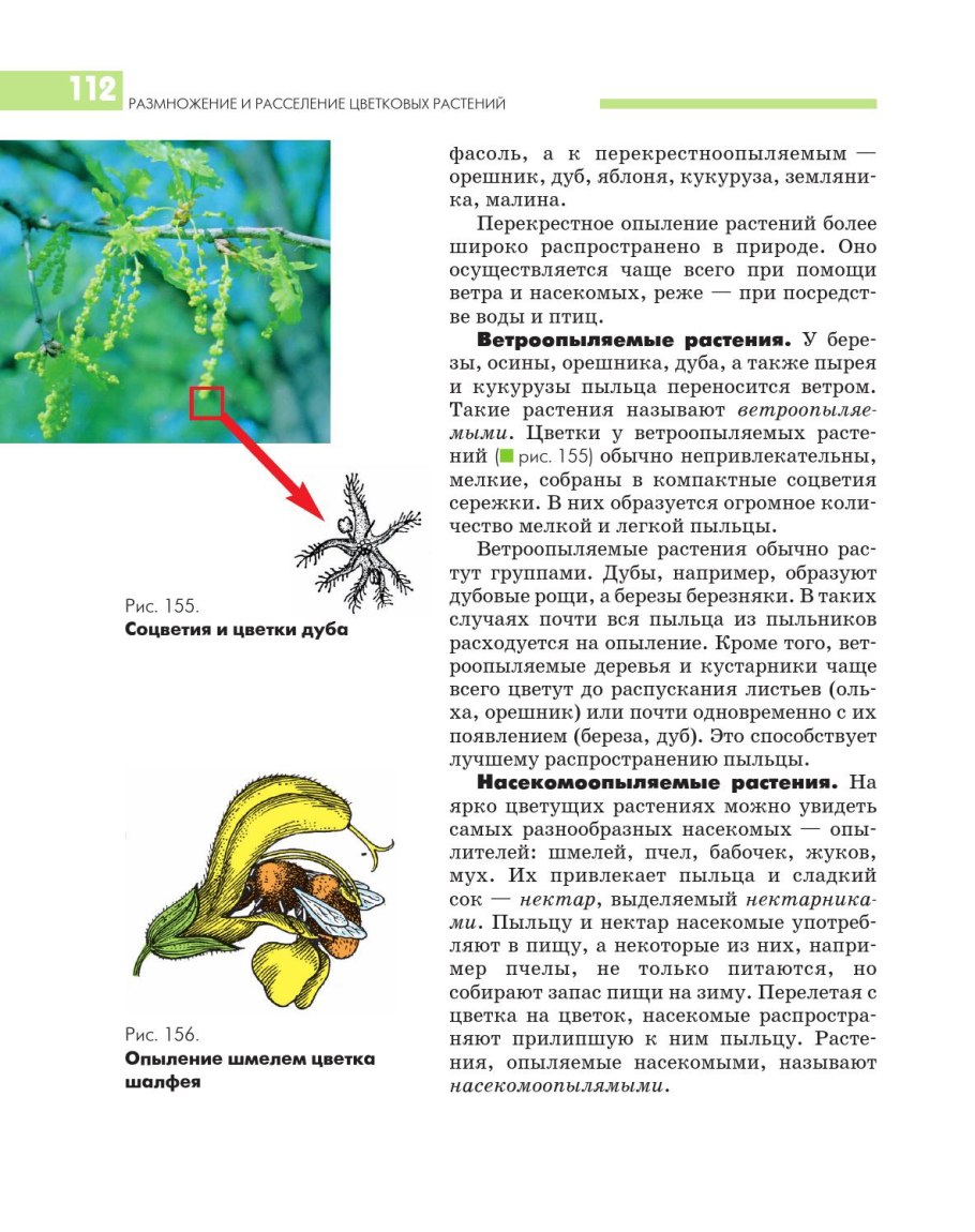Биология 7 класс Викторов