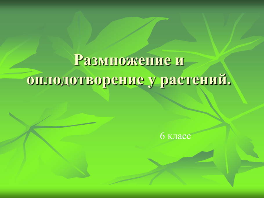 Способы распространения семян и плодов у растений