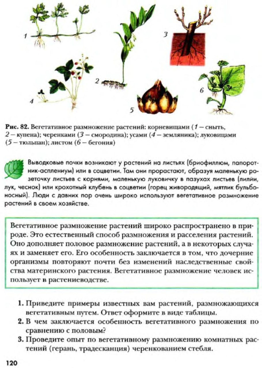Опыление схема