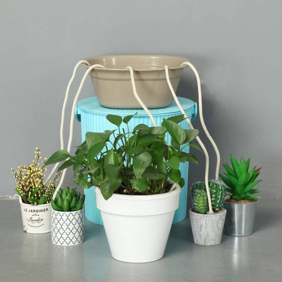 Флорариум Лотос