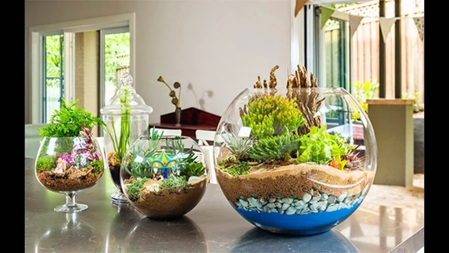 Прозрачный горшок для цветов