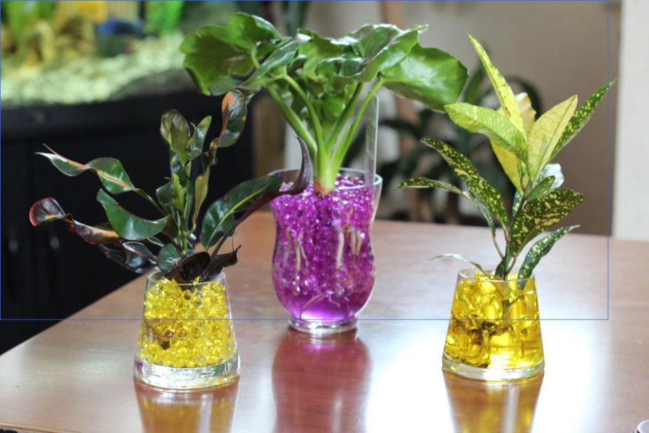 Мох для цветов