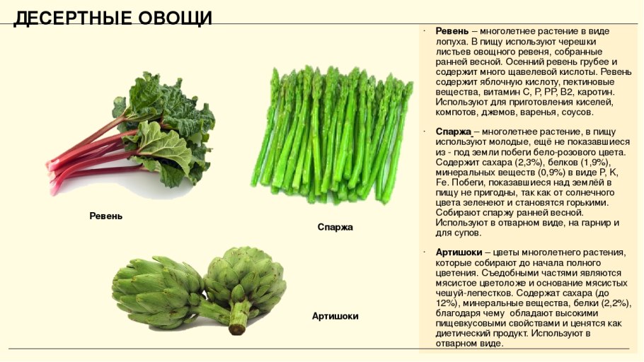 Стебель тростника