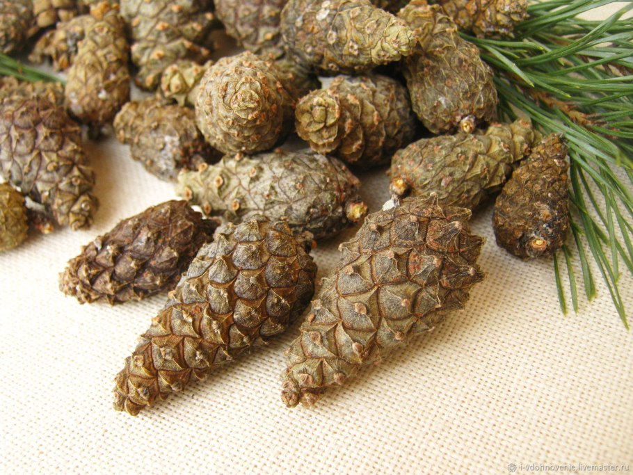 Шишки съедобные